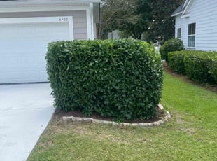 Manivannan S.'s Bush Trimming service result