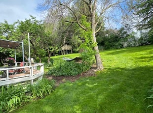 Tyler A.'s lawn service service result