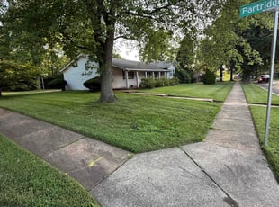 Melanie B.'s yard care service result