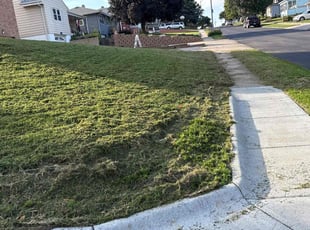 Deborah W.'s lawn care services service result