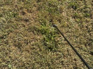 Haley P.'s Other service result