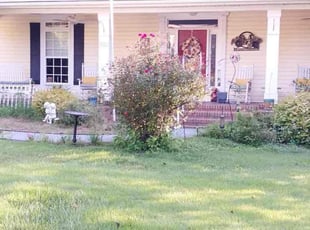 Toussaint F.'s Bush Trimming service result