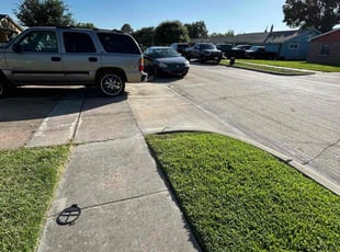 Bailey H.'s grass cutting service result