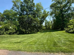 Terry B.'s lawn maintenance service result