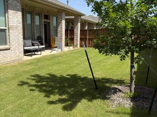 Lauren C.'s grass maintenance service result