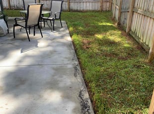 Michael M.'s grass maintenance service result