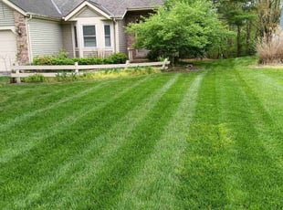 Eitel C.'s grass maintenance service result