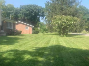 Shannon S.'s grass cutting service result