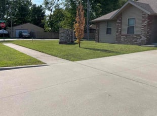 Tamara L.'s turf care service result