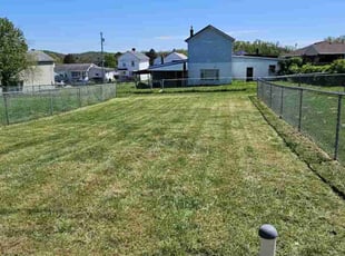 Jessica P.'s turf care service result