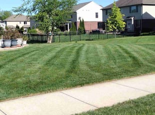 Andrew M.'s lawn care service result