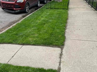 Walter W.'s lawn service service result