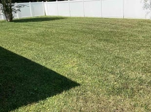 Frank V.'s lawn care service result