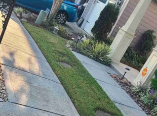 Steve V.'s Other service result