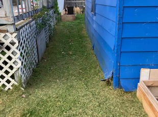 Mia M.'s turf maintenance service result