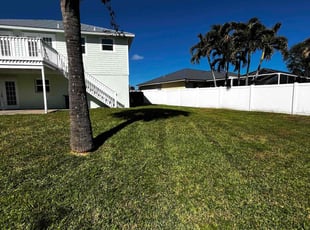 Kathy D.'s grass cutting service result