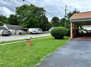 Vera H.'s turf care service result