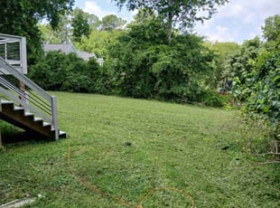 Donald H.'s lawn service service result