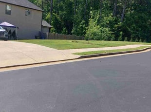 Cassandra T.'s lawn care service result
