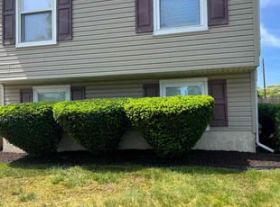 Beverly P.'s Bush Trimming service result