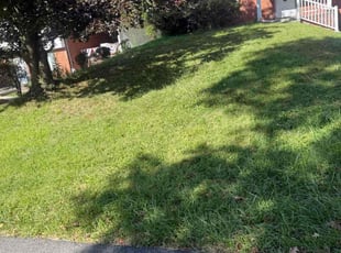 Chris G.'s lawn care service result
