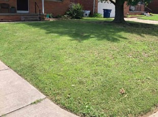 Barbara C.'s lawn care services service result