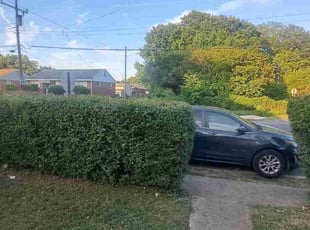 Donnielle R.'s Bush Trimming service result