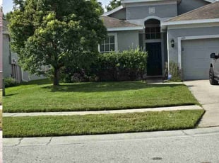 Chiquitta W.'s lawn care services service result