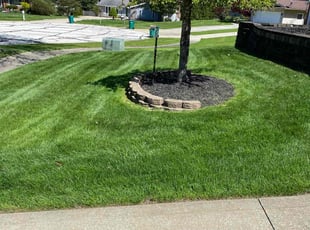 Corey S.'s lawn service service result