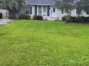 Jeff K.'s lawn care services service result