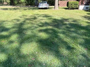 Emmanuel R.'s turf maintenance service result