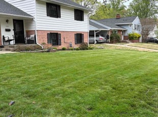 Rhonda M.'s grass maintenance service result