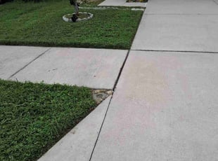 Janet O.'s lawn care service result