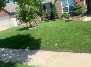 Jennifer H.'s turf care service result