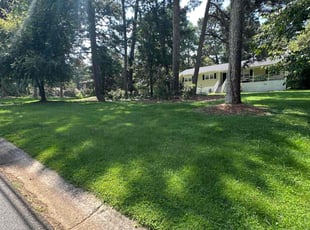 Tracey N.'s turf care service result