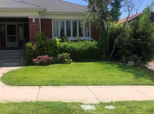 Dalton M.'s Bush Trimming service result