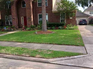 Christie B.'s grass cutting service result