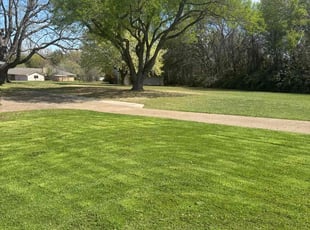 Loretta J.'s lawn care services service result