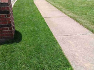 Nicole Y.'s lawn care services service result