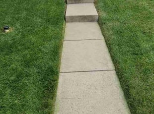 Mitch H.'s lawn service service result