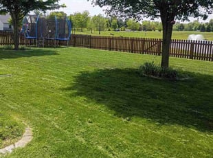 Sara B.'s lawn care service result