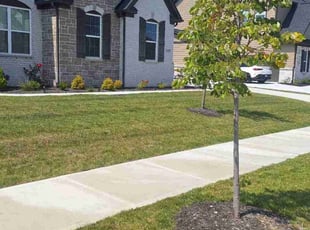 Sophia M.'s turf maintenance service result