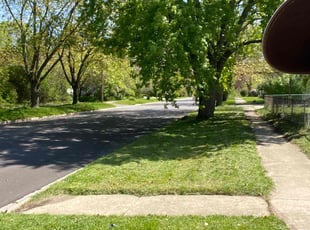 Patricia P.'s lawn care service result