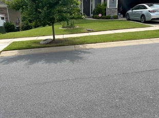 Renee E.'s lawn service service result