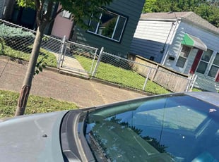 Forrest B.'s turf care service result