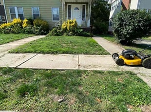 George W.'s turf maintenance service result