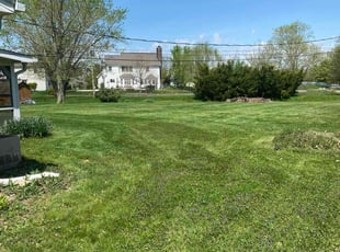 Patrick W.'s lawn maintenance service result