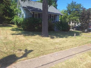 Ed G.'s lawn maintenance service result