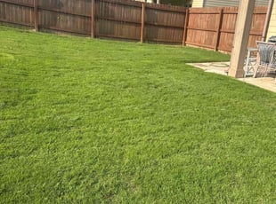 Nathan C.'s turf care service result
