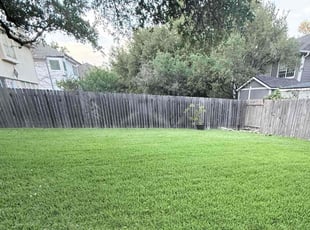 Tony F.'s lawn service service result